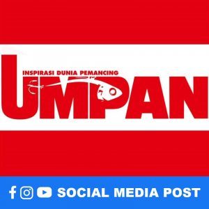 Umpan Social Media Post