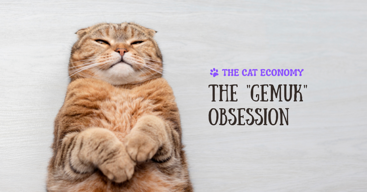 The "Gemuk" Obsession