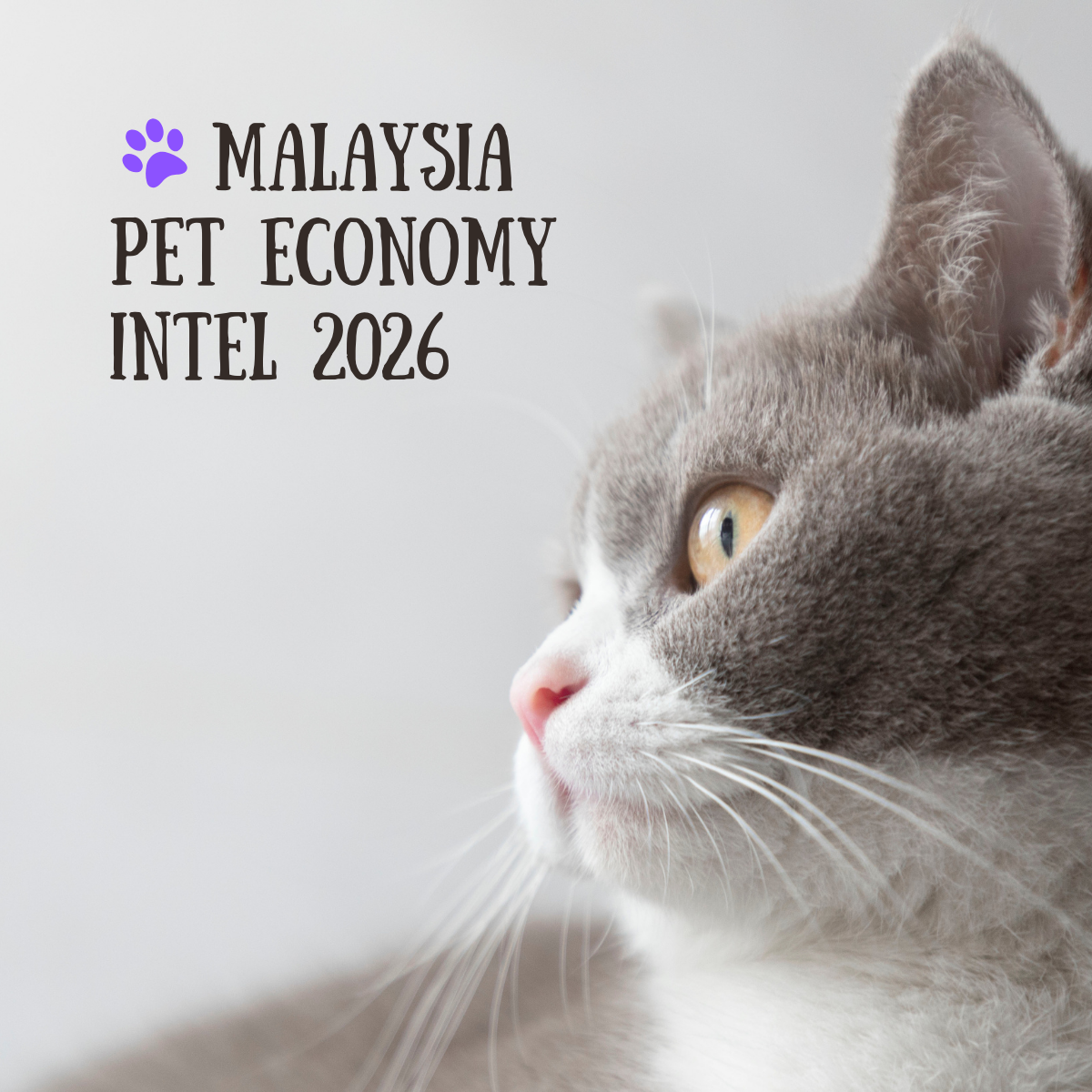 The Malaysia Pet Economy Intel 2026 - Infographic
